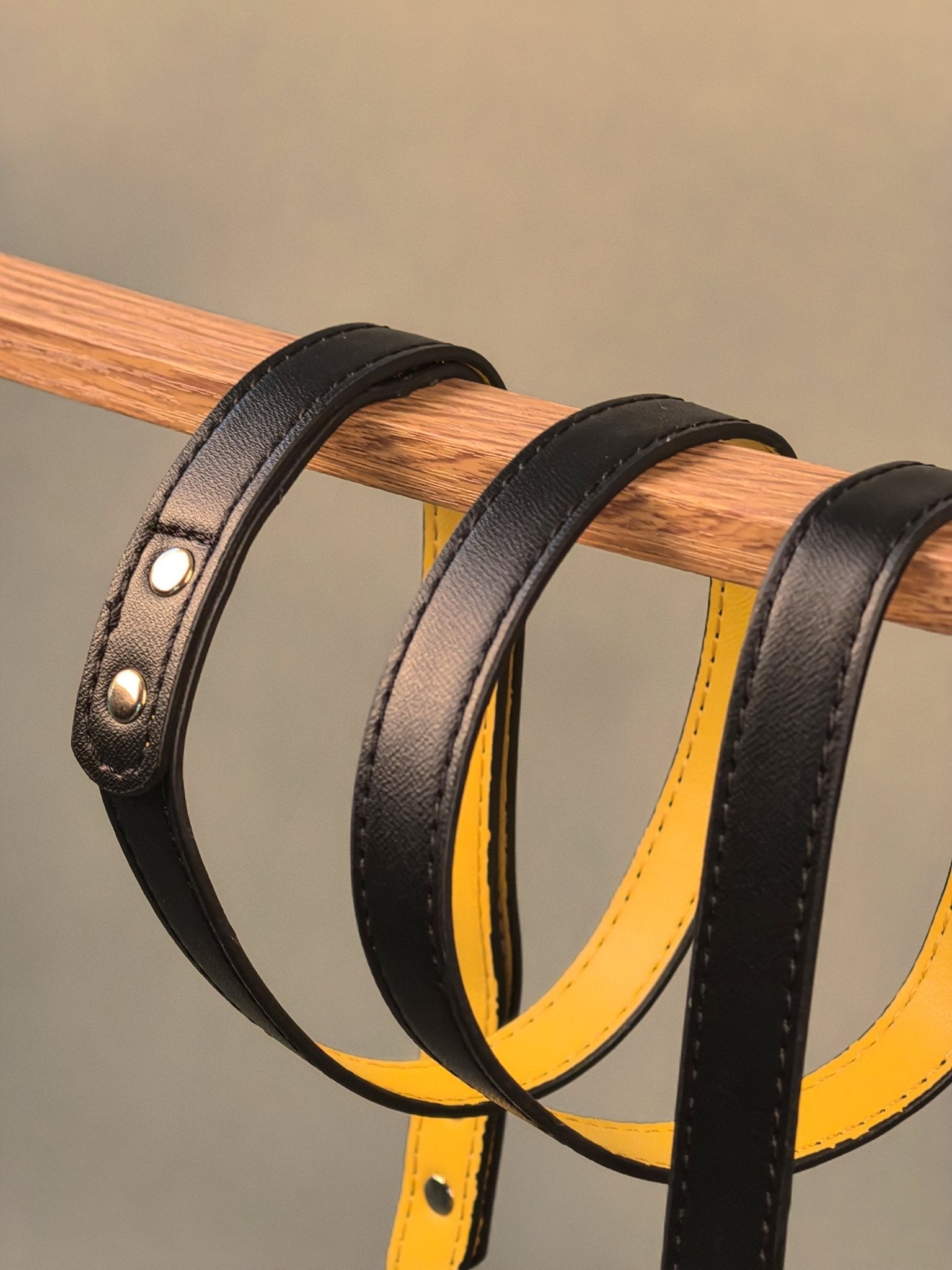 INITIUM LEASH - BLACK/YELLOW - PetLiveliest - PetLiveliest