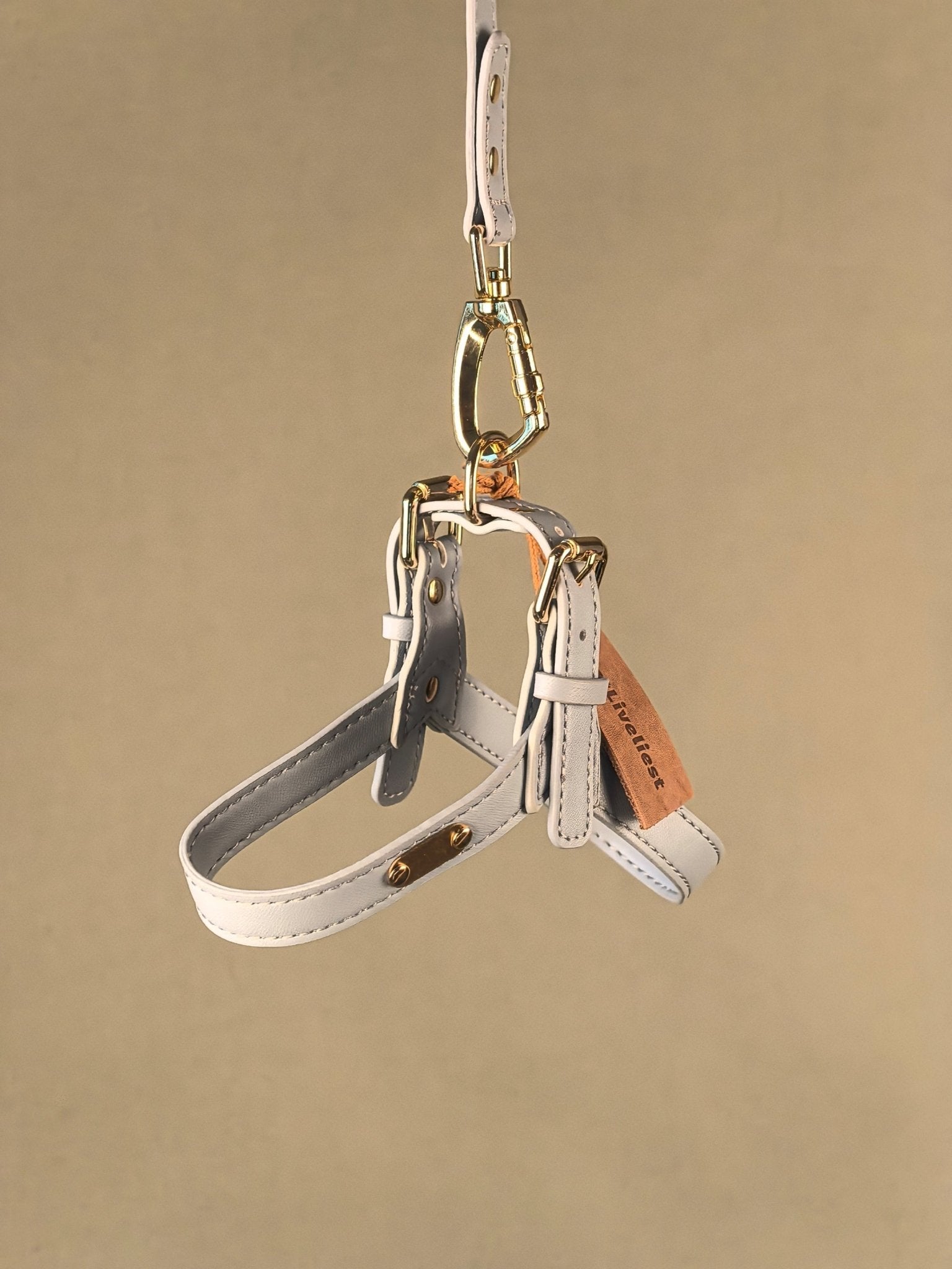 INITIUM LEASH - HAZE BLUE - PetLiveliest - PetLiveliest