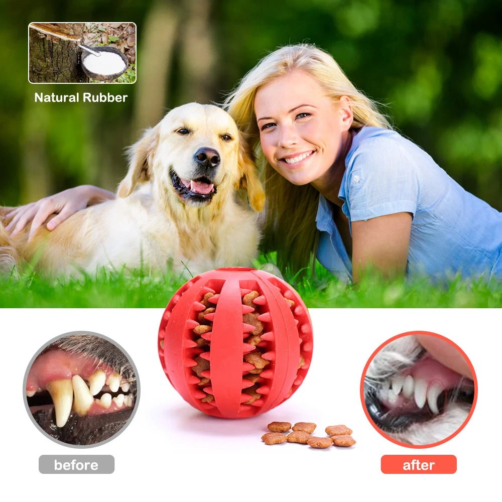 Interactive Leaking Ball Dog Toy - PetLiveliest - PetLiveliest