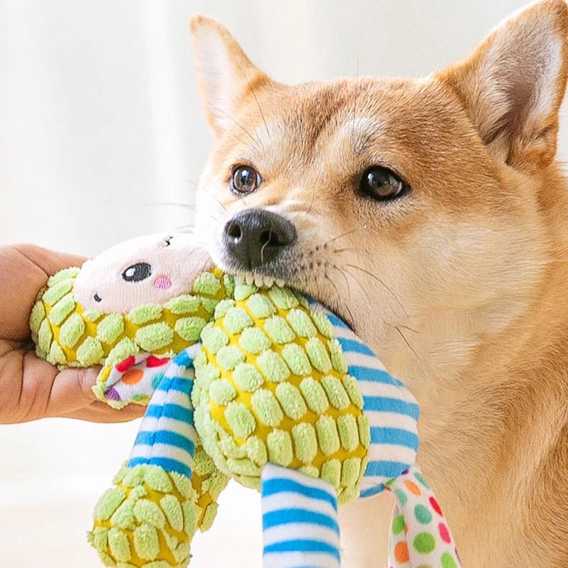 Interactive Squeaky Pet Plush Toy - PetLiveliest - PetLiveliest