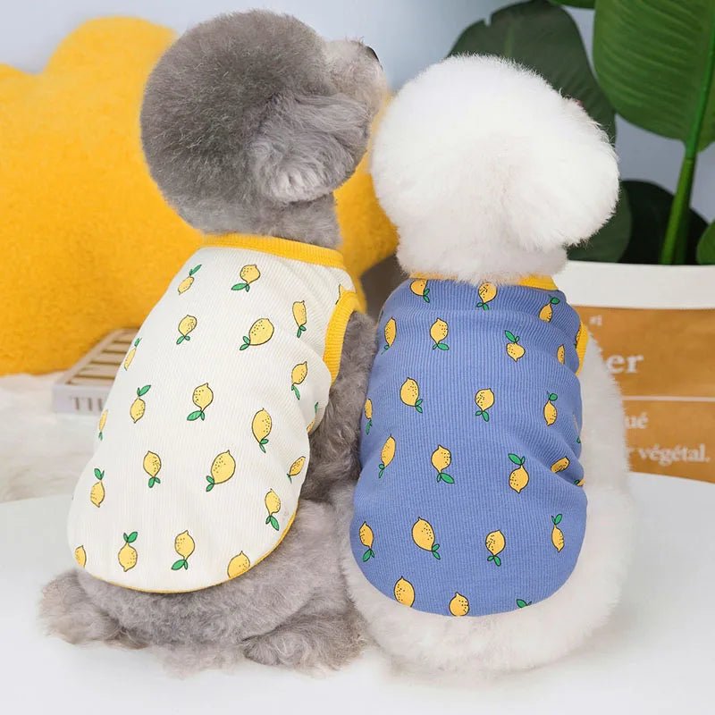 Lemon Pattern Summer Dog Vest - PetLiveliest - PetLiveliest