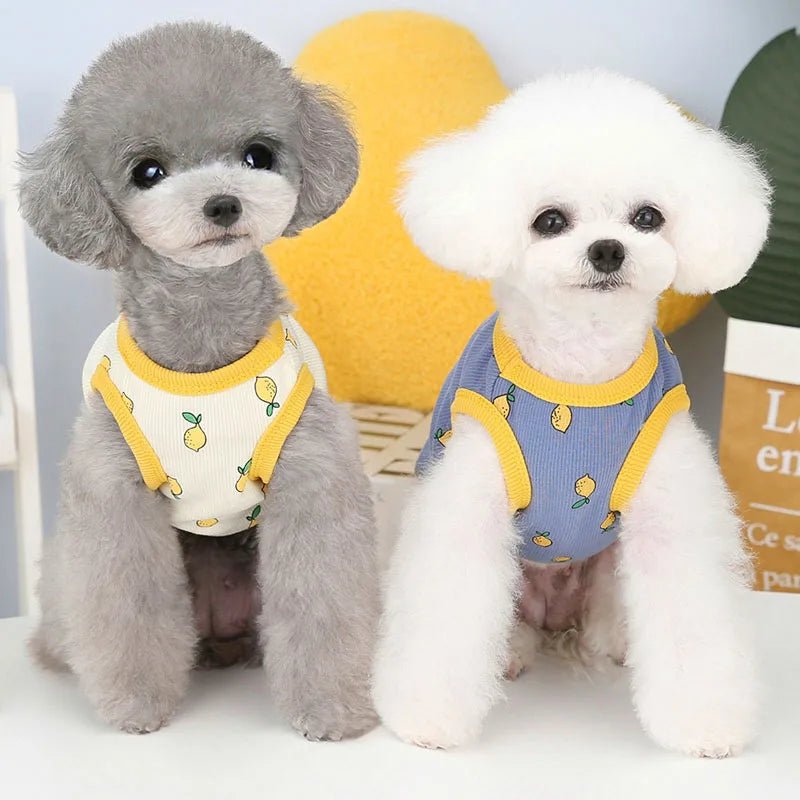 Lemon Pattern Summer Dog Vest - PetLiveliest - PetLiveliest