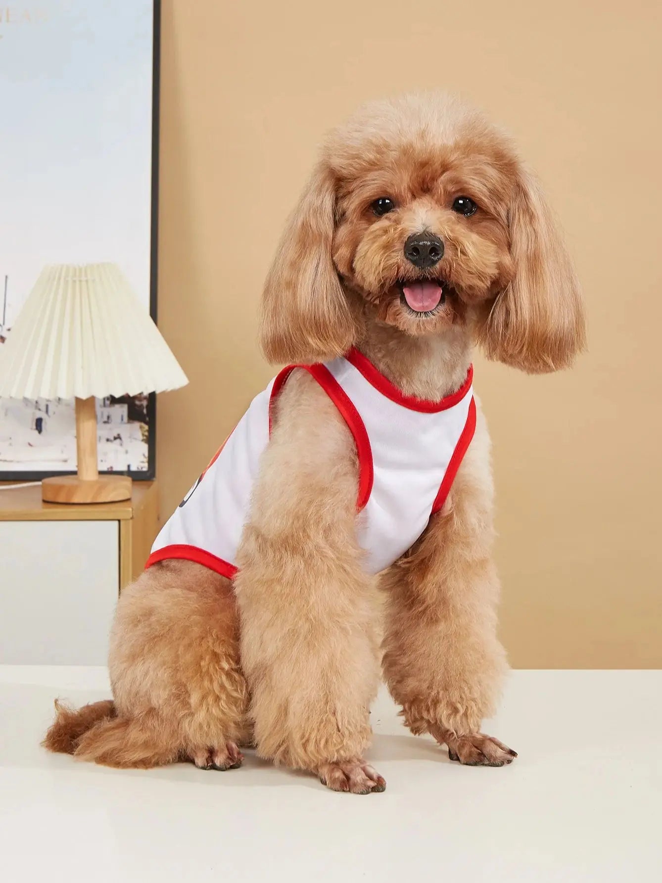 Lightweight Rainbow Cloud Pet Vest - PetLiveliest - PetLiveliest