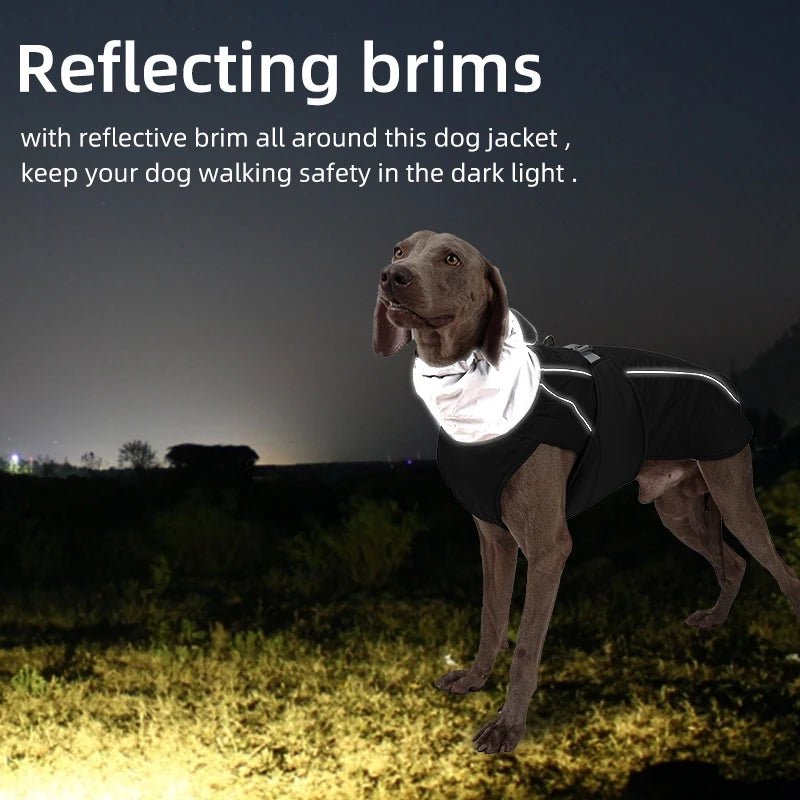 Luxury Reflective Winter Dog Jacket - PetLiveliest - PetLiveliest