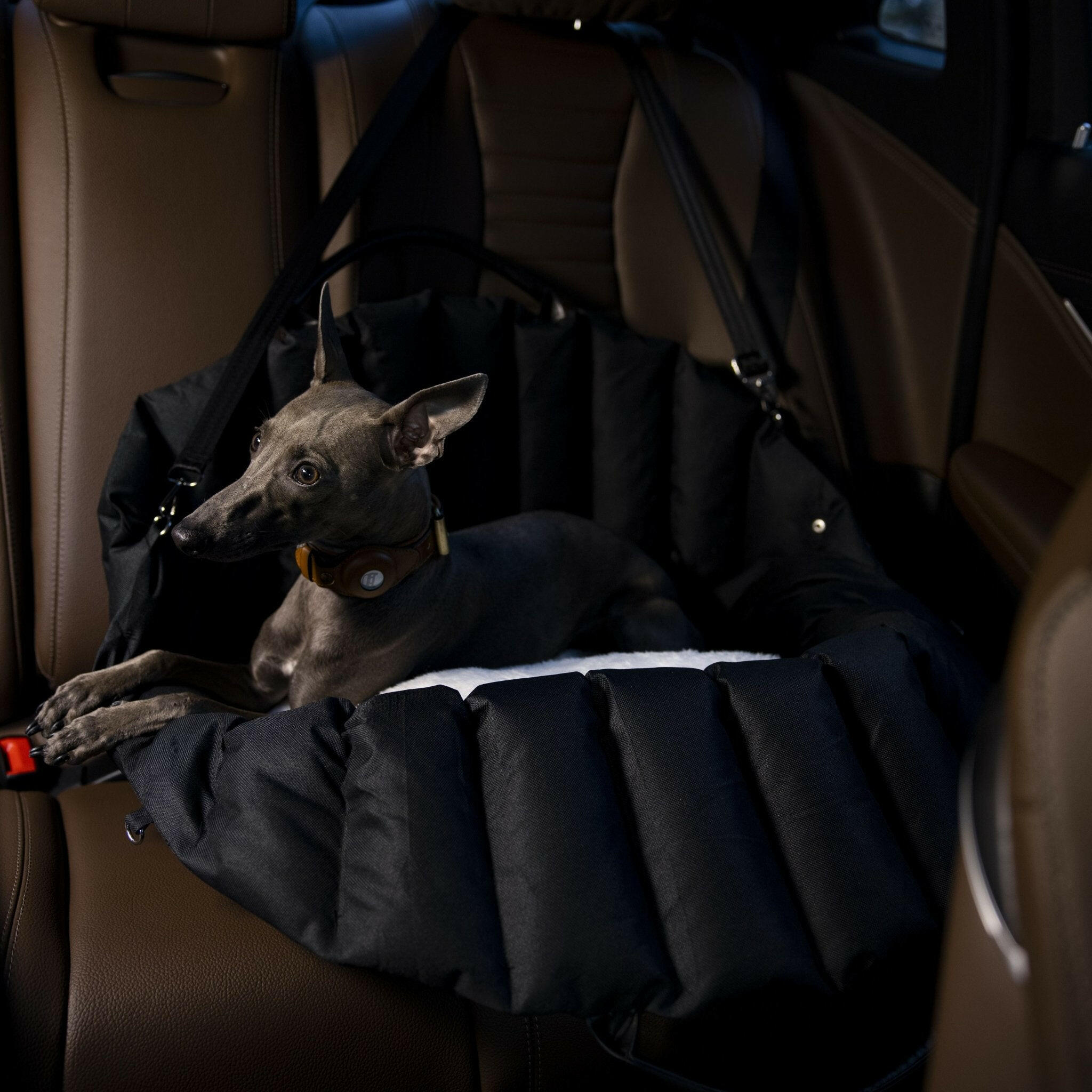 NAVIS CAR SEAT - JET BLACK - PetLiveliest - PetLiveliest