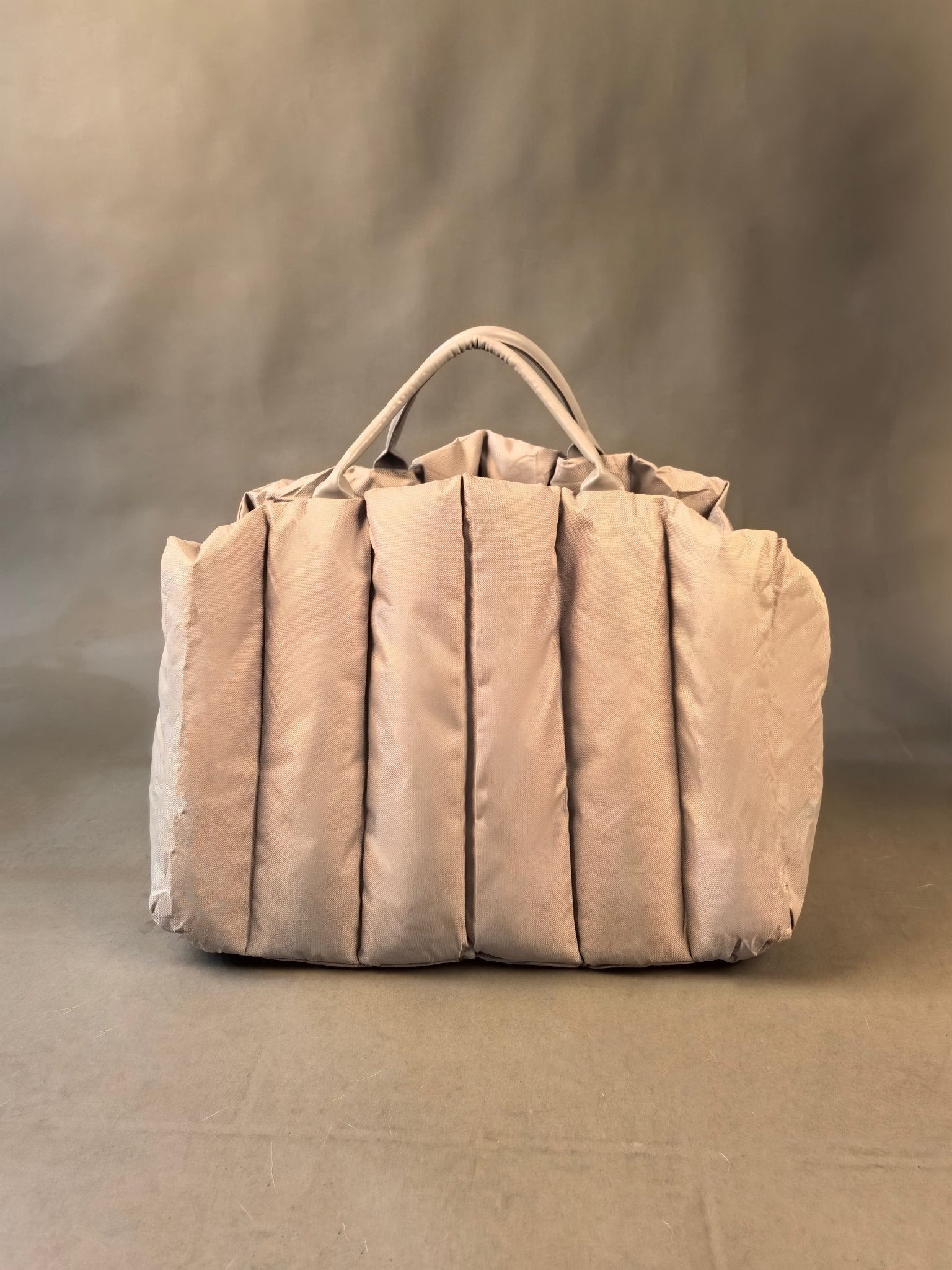 NAVIS CAR SEAT - LIGHT GRAY - PetLiveliest - PetLiveliest