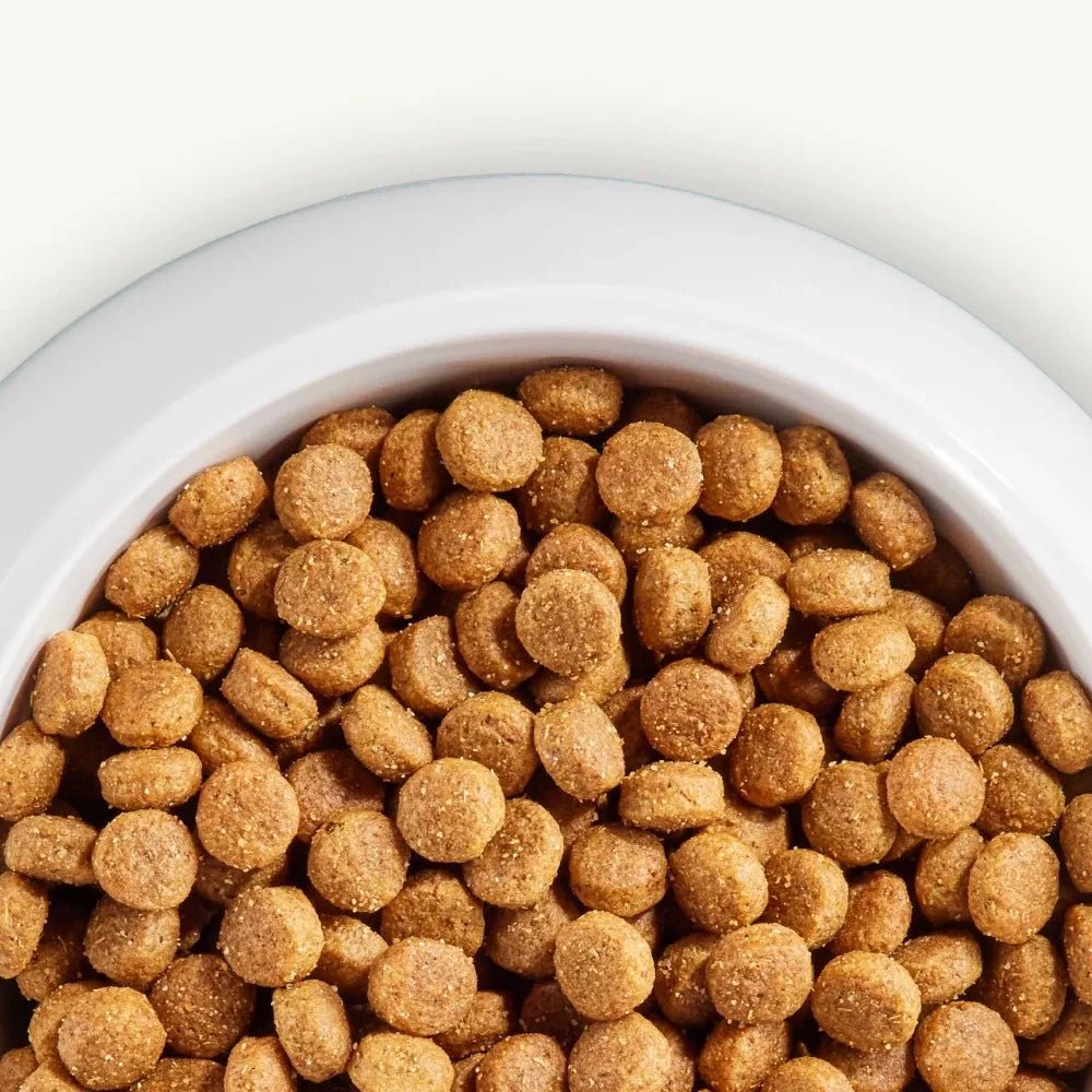 Nutro Natural Choice Adult Beef & Brown Rice Recipe Dry Dog Food, 28 - lb bag - PetLiveliest - PetLiveliest