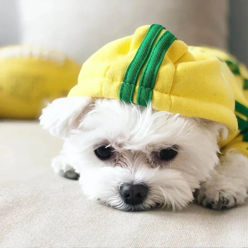 adidog Hoodie Jumpsuit - PetLiveliest - PetLiveliest
