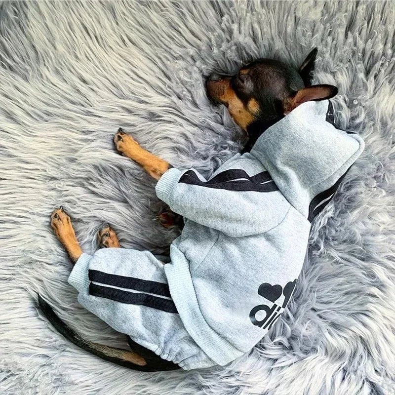 adidog Hoodie Jumpsuit - PetLiveliest - PetLiveliest
