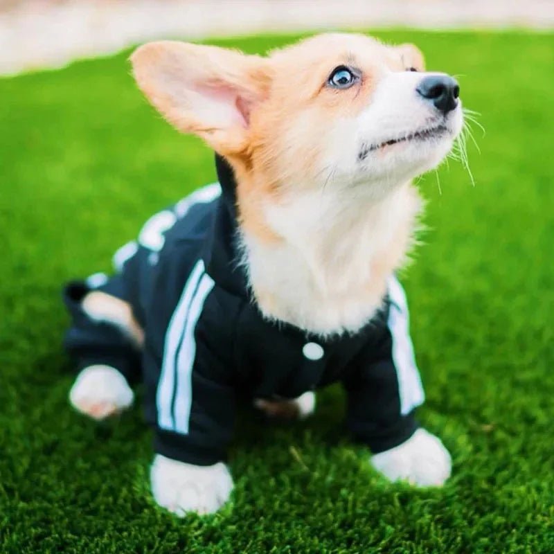 adidog Hoodie Jumpsuit - PetLiveliest - PetLiveliest