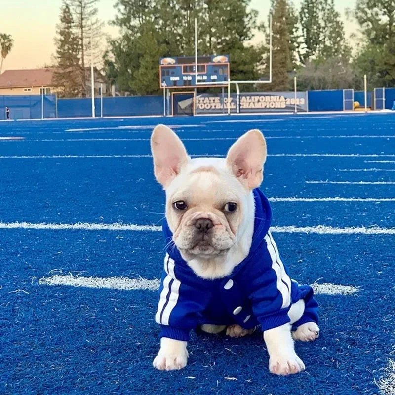 adidog Hoodie Jumpsuit - PetLiveliest - PetLiveliest