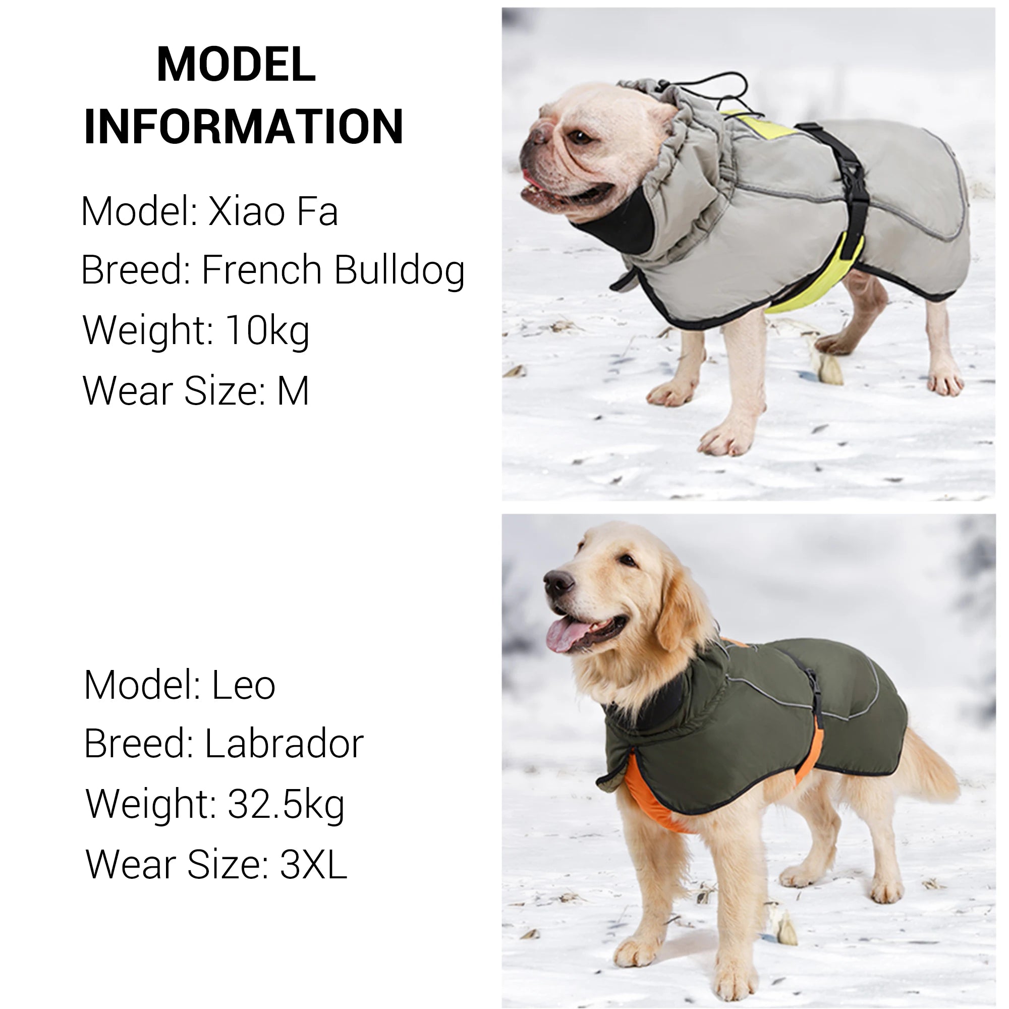 Quilted Thick Waterproof Warm Jacket - PetLiveliest - PetLiveliest