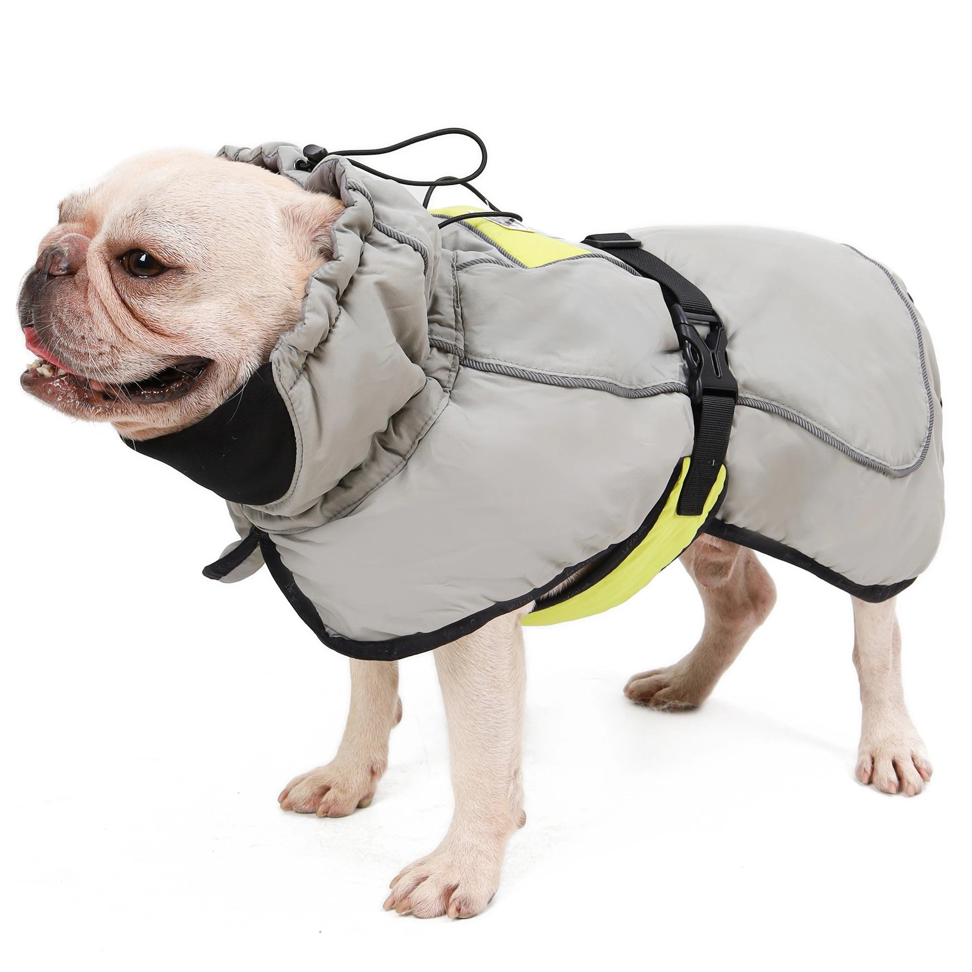 Quilted Thick Waterproof Warm Jacket - PetLiveliest - PetLiveliest