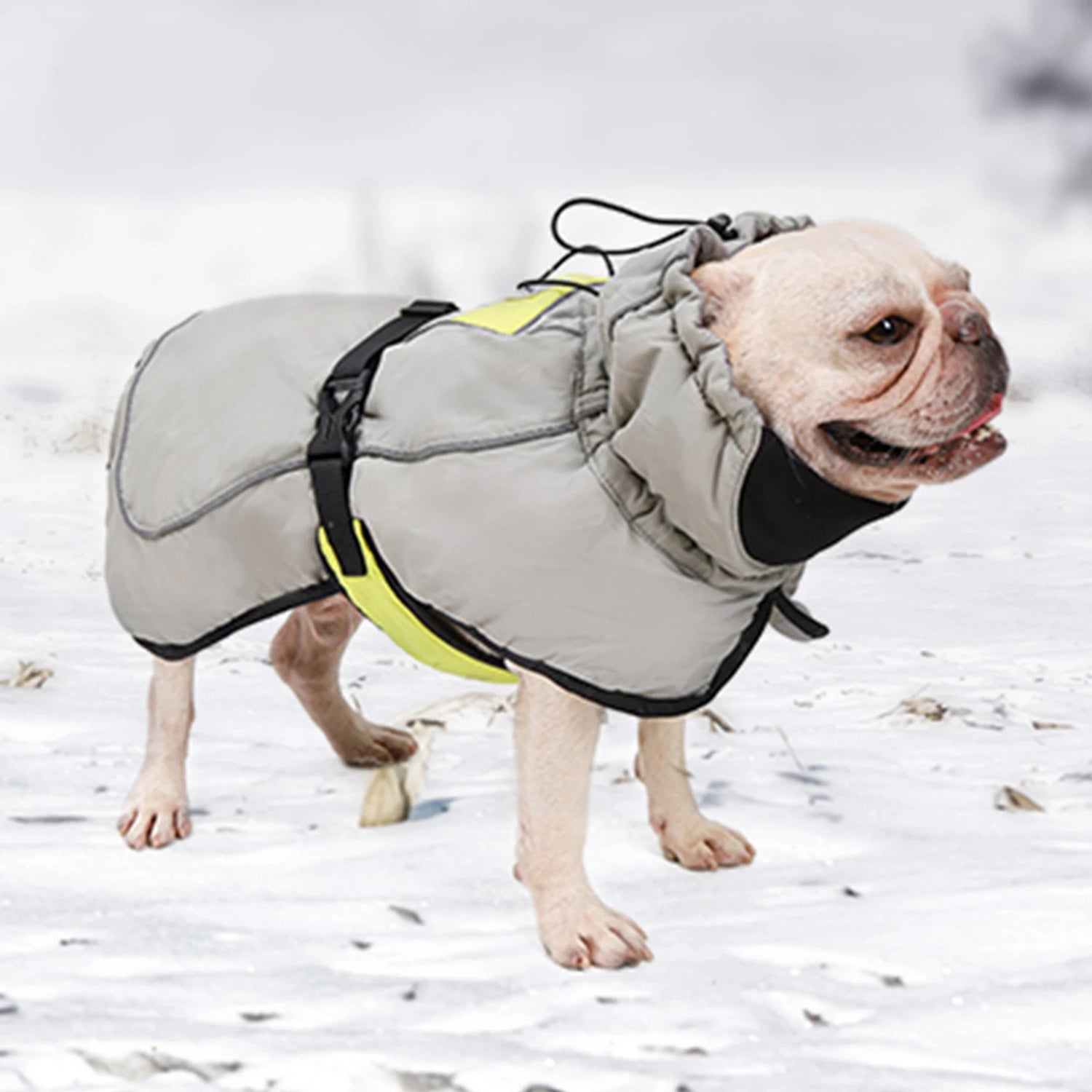 Quilted Thick Waterproof Warm Jacket - PetLiveliest - PetLiveliest
