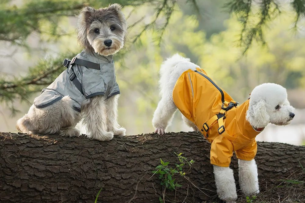 Reflective Waterproof Dog Rain Jacket with Harness for Jungle Camping - PetLiveliest - PetLiveliest