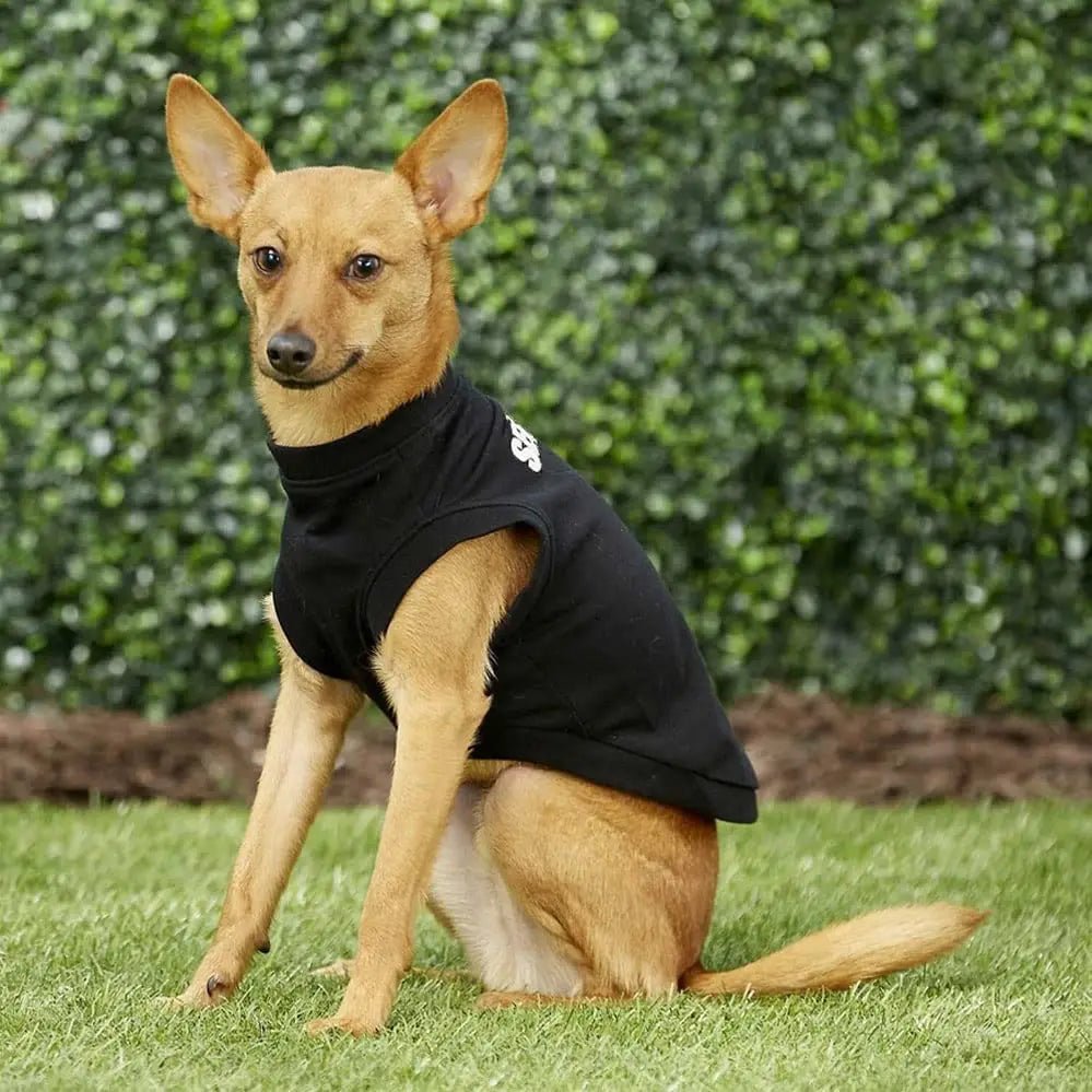 Security Cotton Summer Vest - PetLiveliest - PetLiveliest