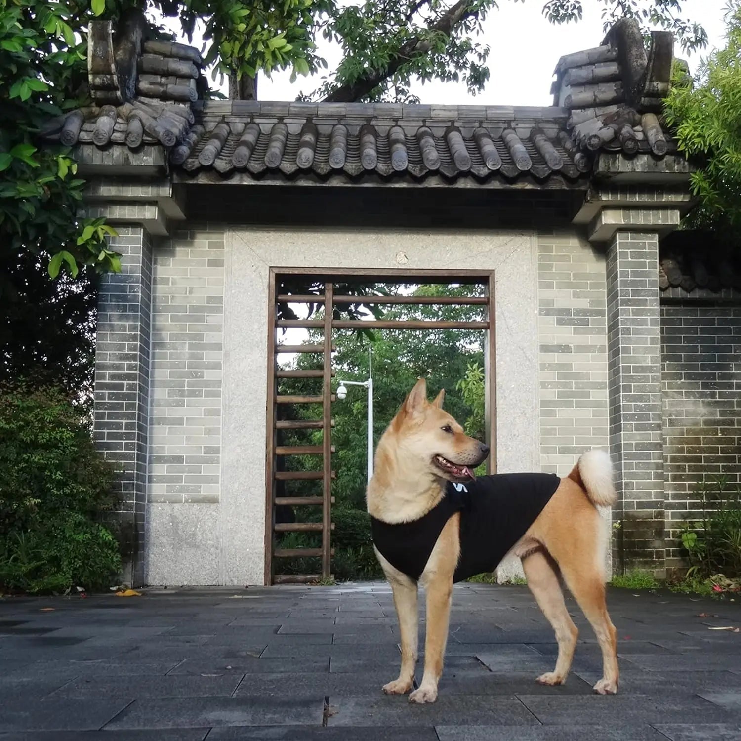 Security Cotton Summer Vest - PetLiveliest - PetLiveliest