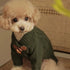 Soft Schnauzer Knit Dog Sweater - PetLiveliest - PetLiveliest