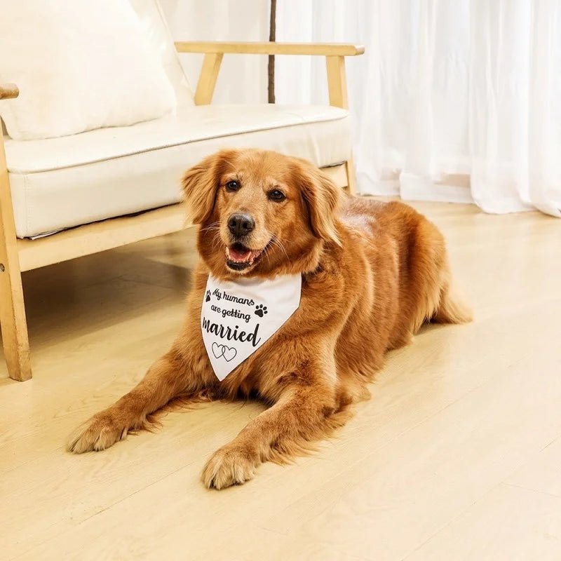 Solid Adjusatble Dog Bandana - PetLiveliest - PetLiveliest