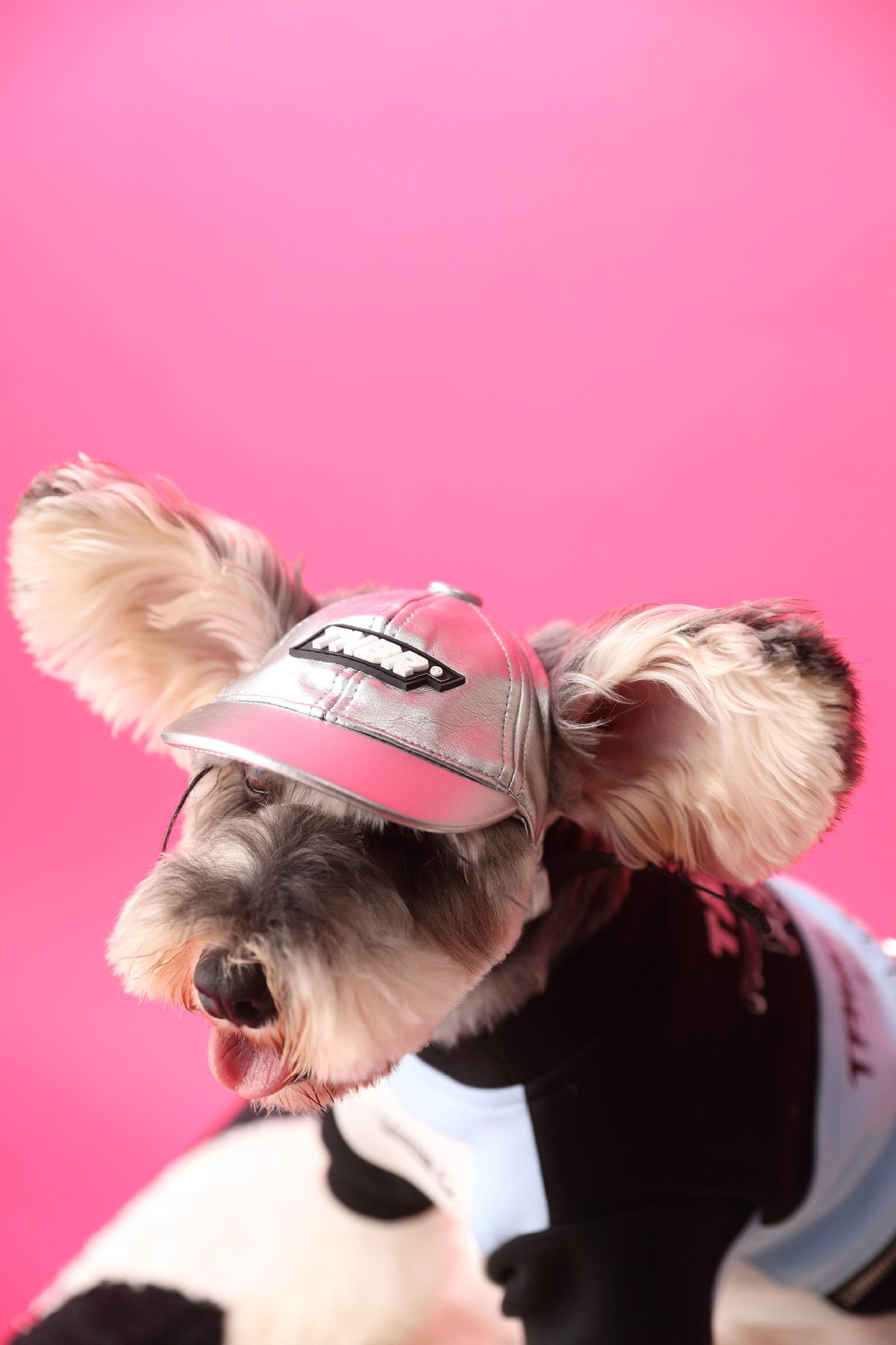 Stitching Zipper Dog Sweatshirt - PetLiveliest - PetLiveliest