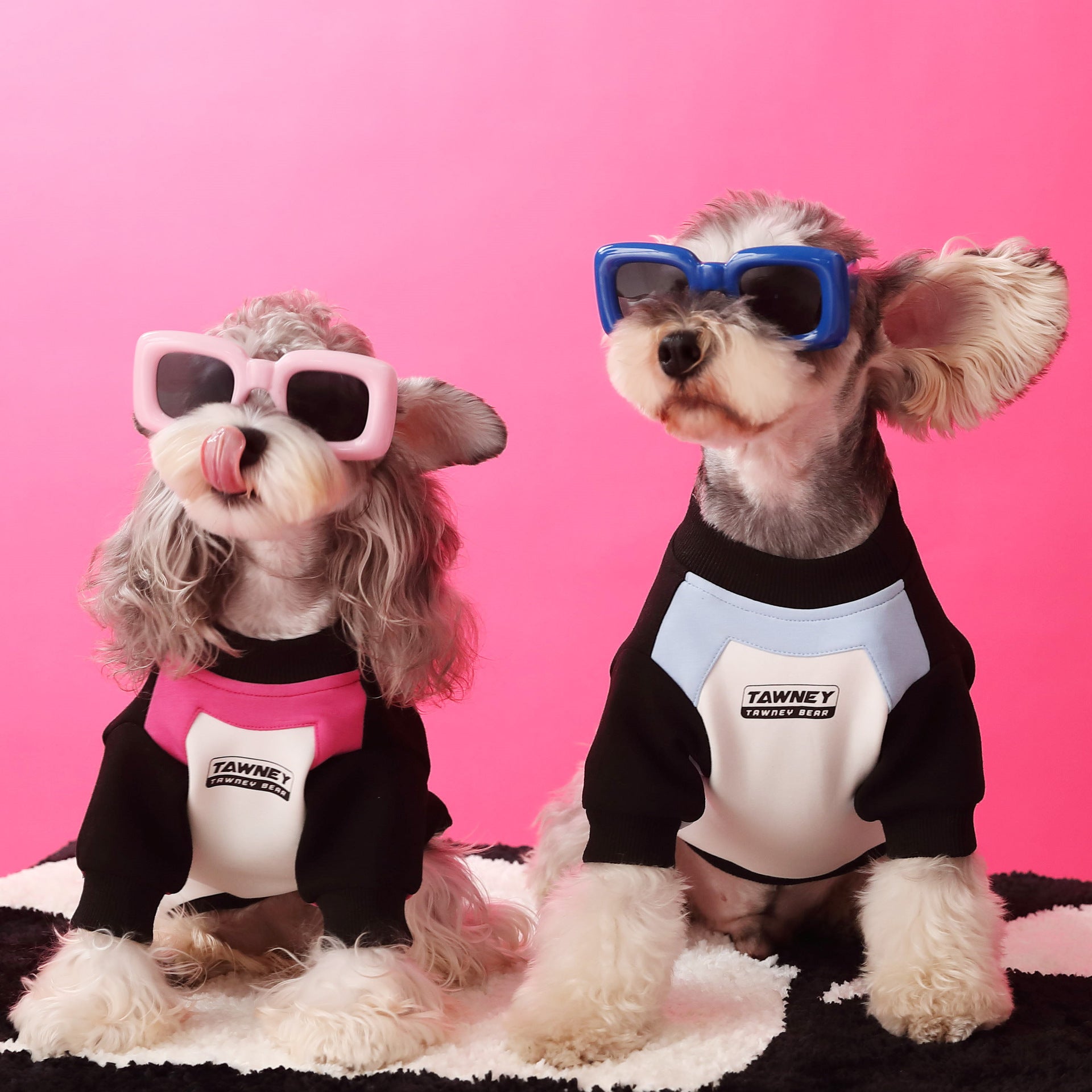 Stitching Zipper Dog Sweatshirt - PetLiveliest - PetLiveliest