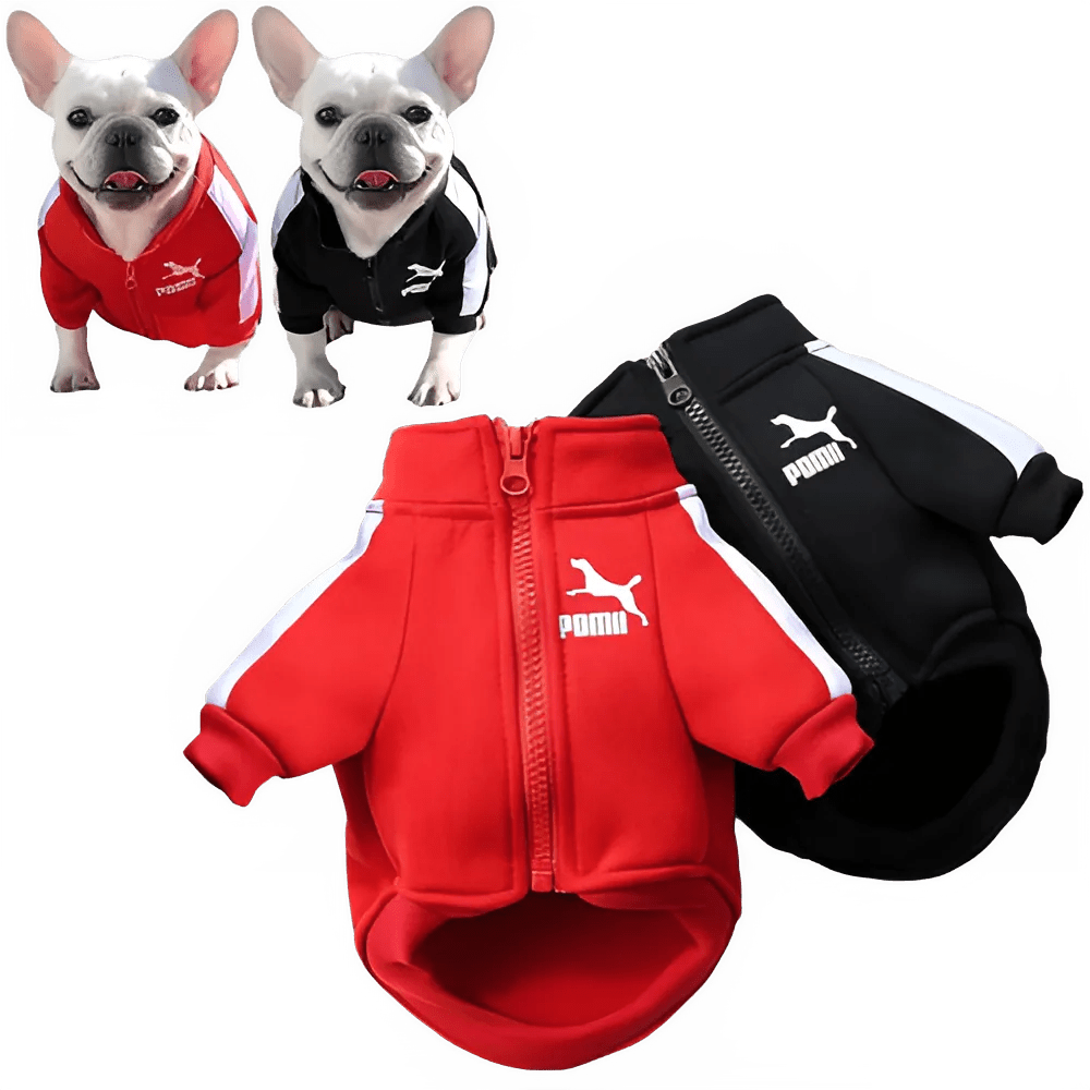 Stylish Baseball Dog Jacket for Winter Wear - PetLiveliest - PetLiveliest