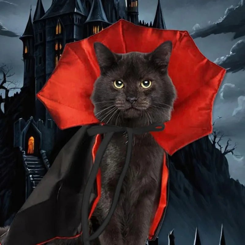 Vampire Bat Wings Pet Halloween Costume - PetLiveliest - PetLiveliest