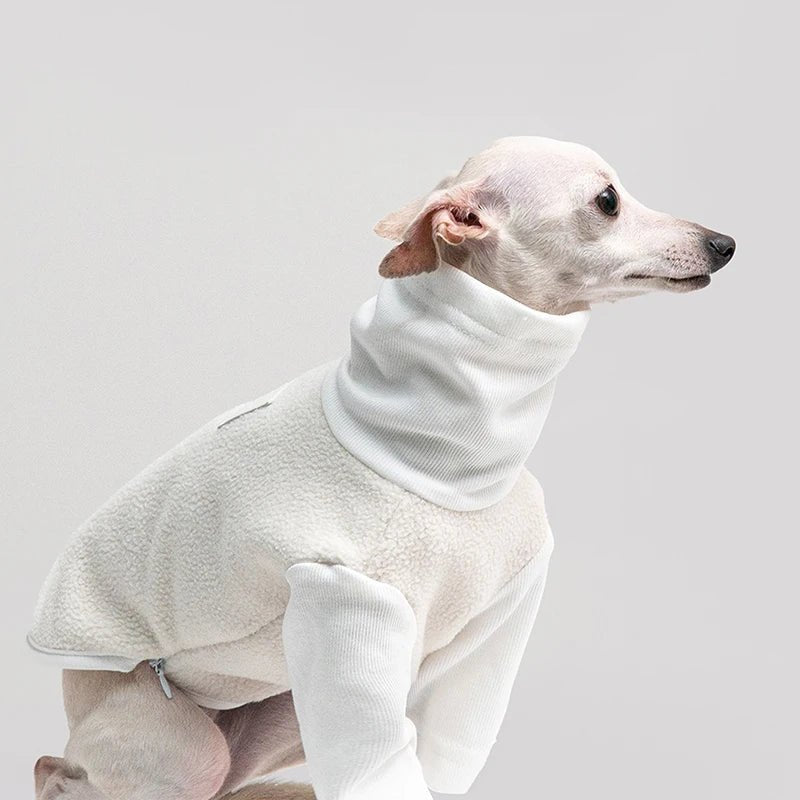 Warm Berber Fleece Jacket with High Neck - PetLiveliest - PetLiveliest