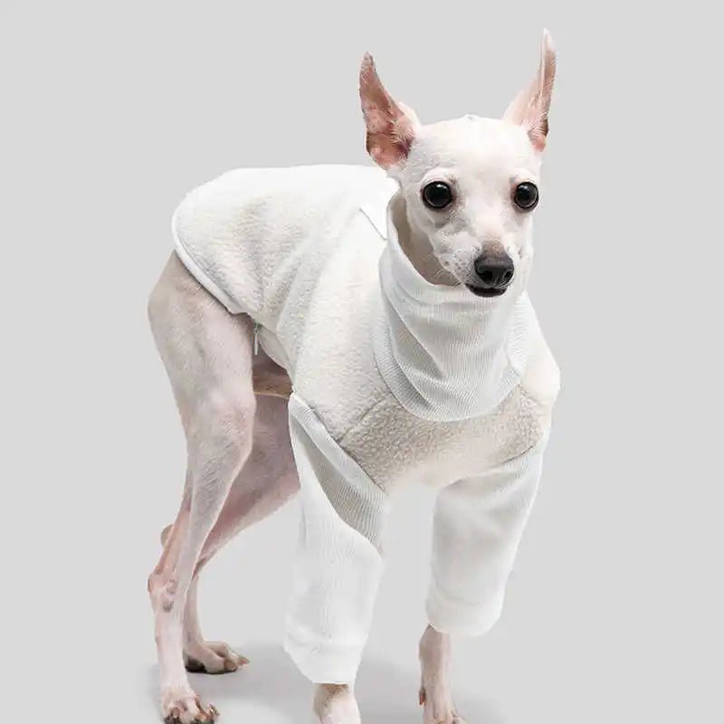 Warm Berber Fleece Jacket with High Neck - PetLiveliest - PetLiveliest