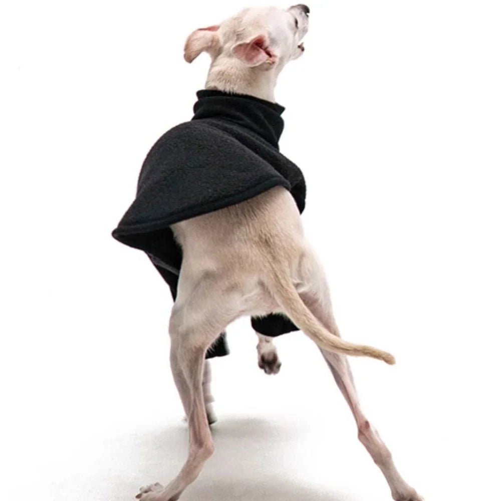 Warm Berber Fleece Jacket with High Neck - PetLiveliest - PetLiveliest