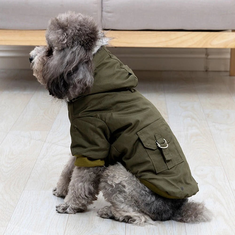 Insulated Waterproof Warm Coat for Winter Hiking - PetLiveliest - PetLiveliest