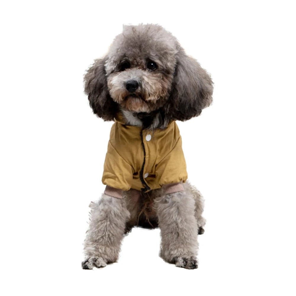 Insulated Waterproof Warm Coat for Winter Hiking - PetLiveliest - PetLiveliest