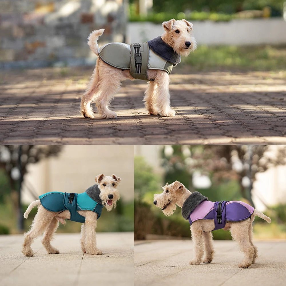 Warm Thicken Windproof Jacket with Harness Hole - PetLiveliest - PetLiveliest
