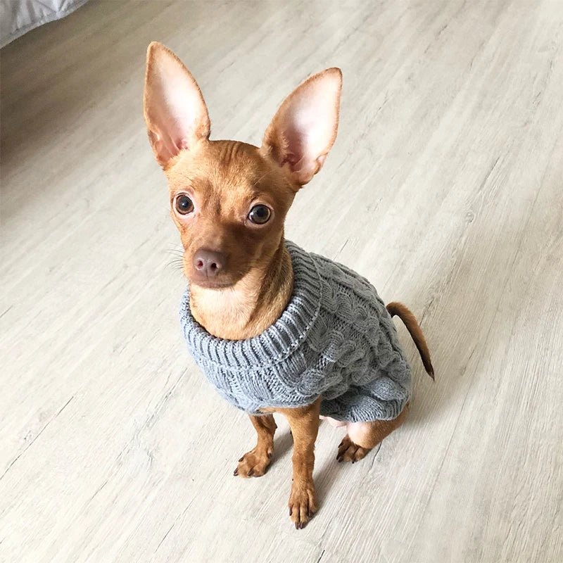 Cozy Knitwear Warm Winter Sweater - PetLiveliest - PetLiveliest