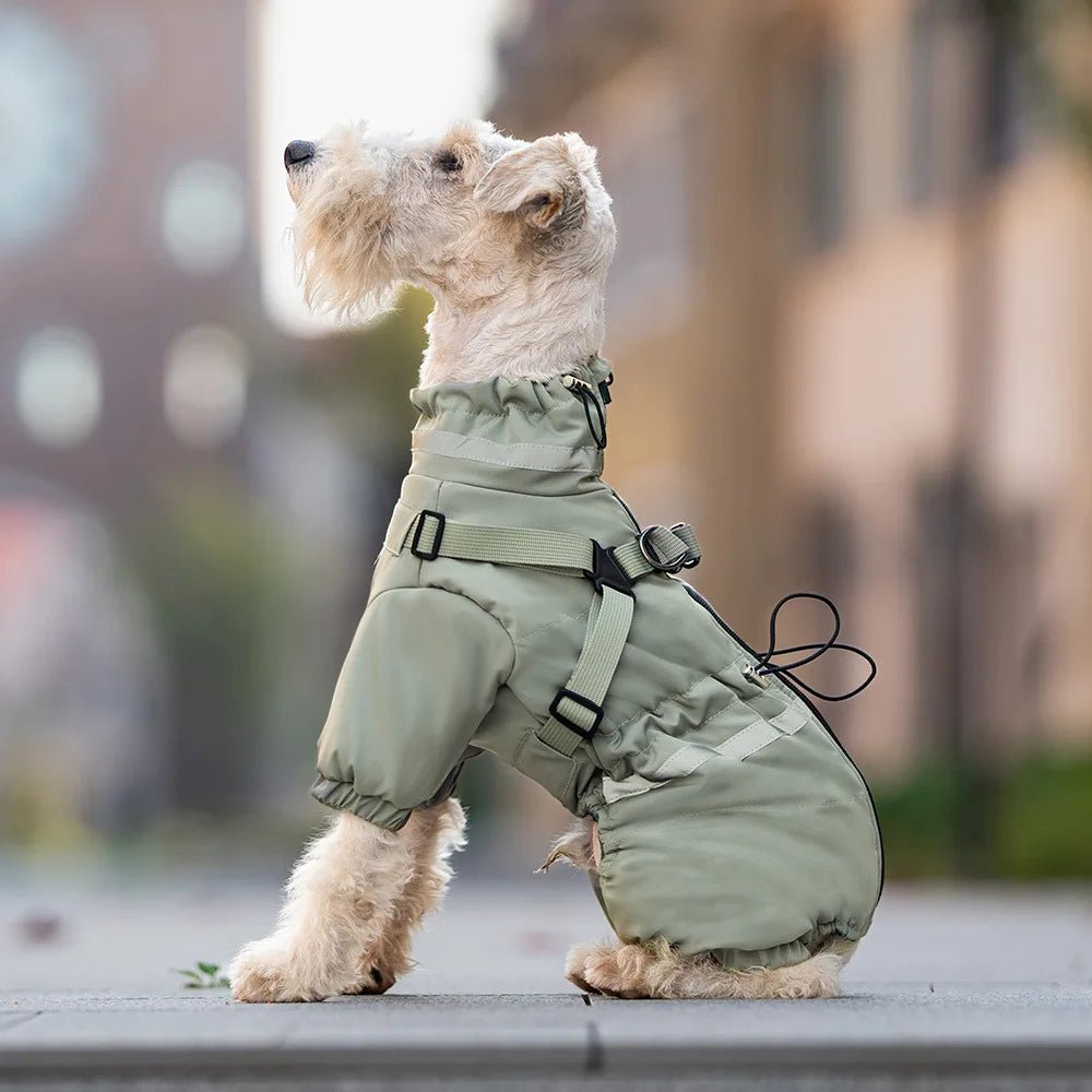 Water Repellent Thicken Padded Coat with Harness - PetLiveliest - PetLiveliest