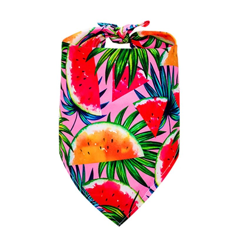 Easter Specials - Watermelon & Dragon fruit Dog Bandana - PetLiveliest - PetLiveliest