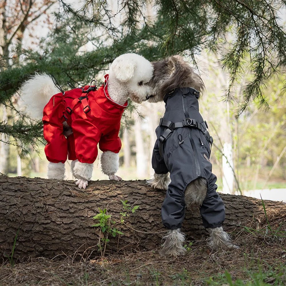 Waterproof Adjustable Reflective Raincoat with Harness - PetLiveliest - PetLiveliest