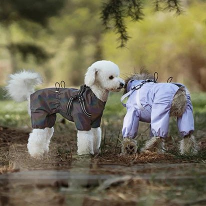 Waterproof Adjustable Reflective Raincoat with Harness - PetLiveliest - PetLiveliest
