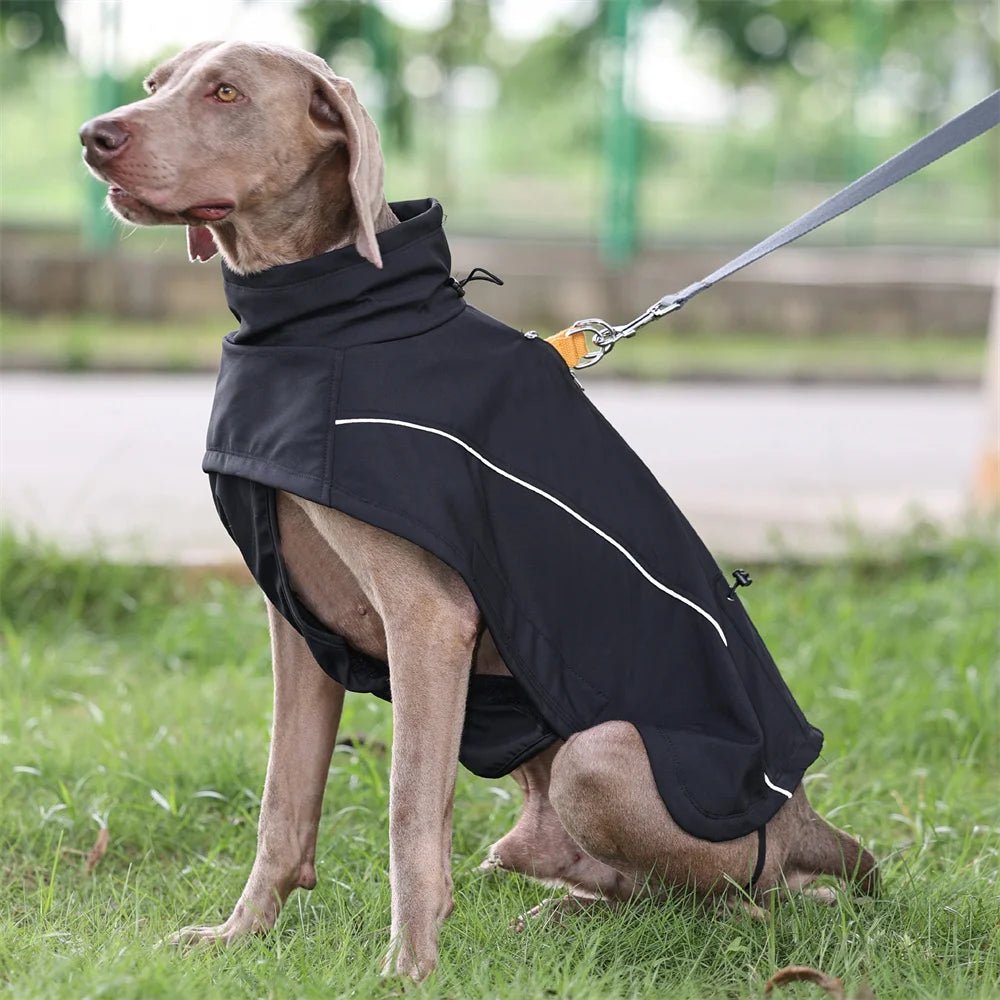 Waterproof Fleece Lining Soft Coat - PetLiveliest - PetLiveliest