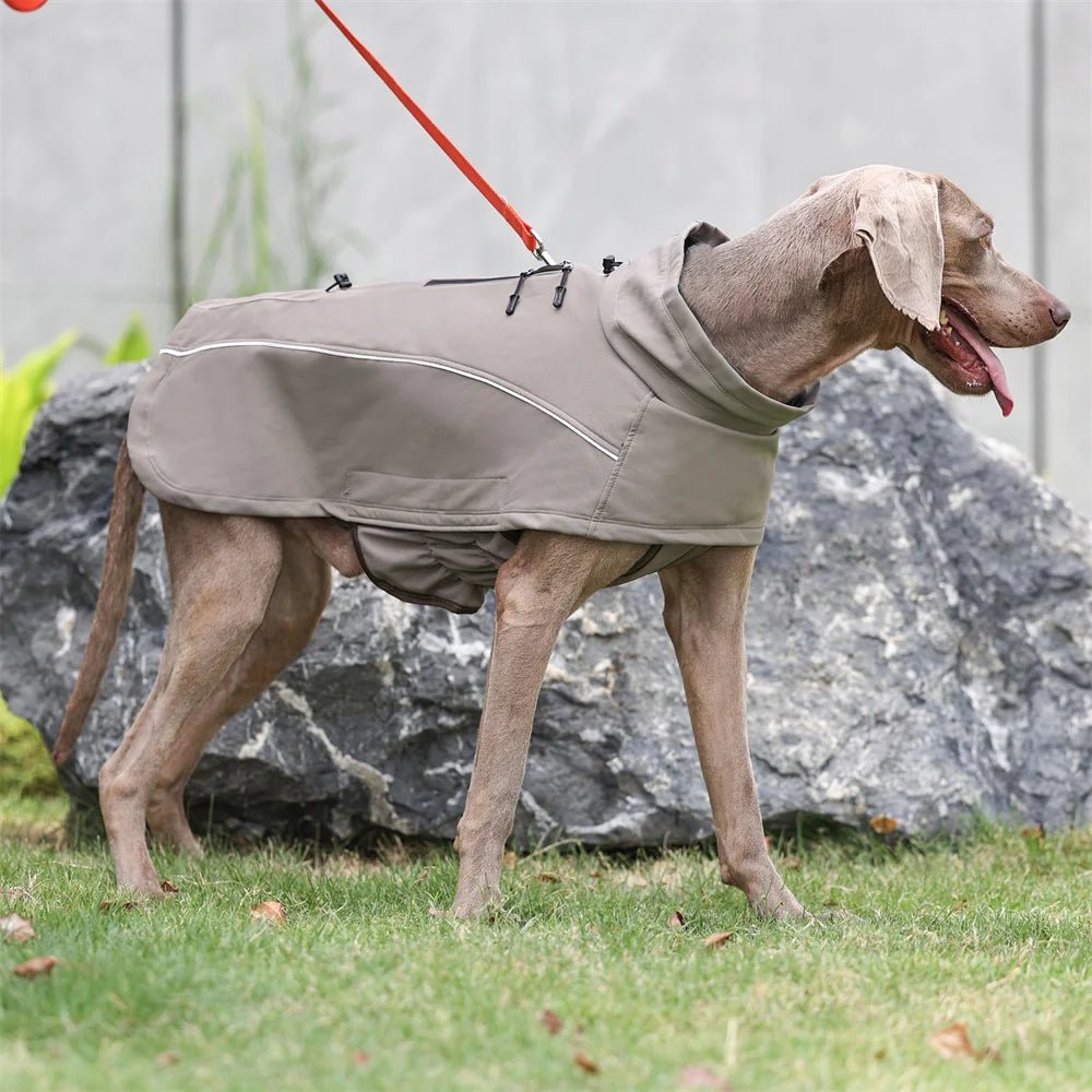 Waterproof Fleece Lining Soft Coat - PetLiveliest - PetLiveliest