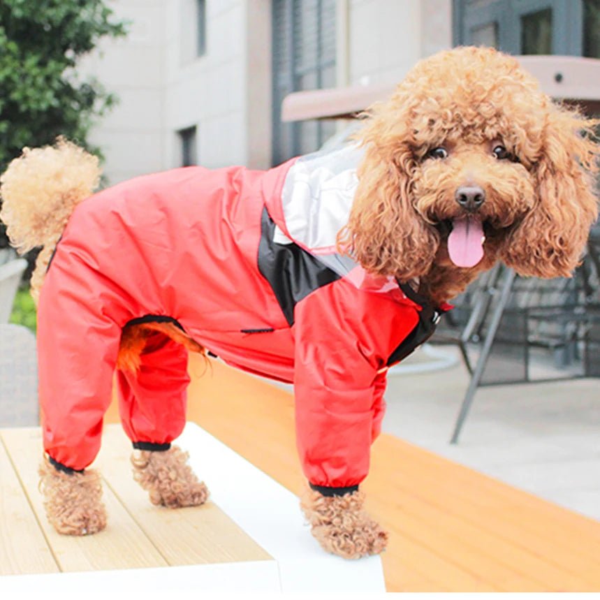 Waterproof Pet Dog Raincoat - PetLiveliest - PetLiveliest