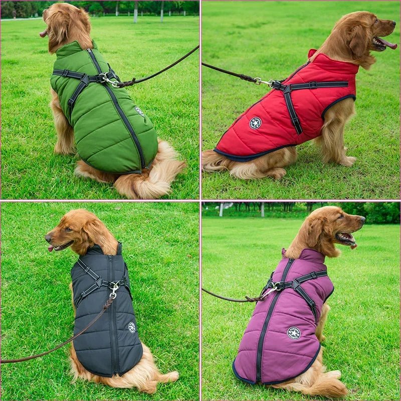 Waterproof Warm Jacket Vest with Harness - PetLiveliest - PetLiveliest