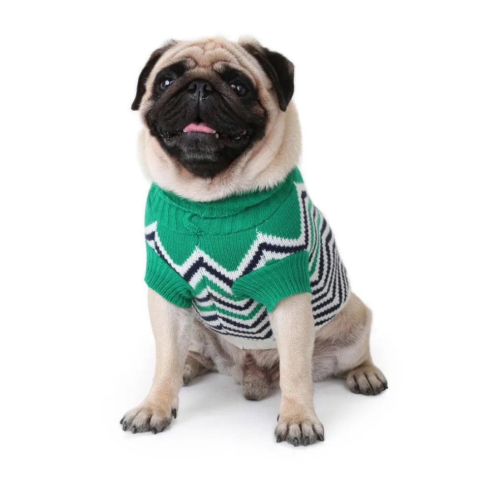 Wave Pattern Turtleneck Sweater - PetLiveliest - PetLiveliest