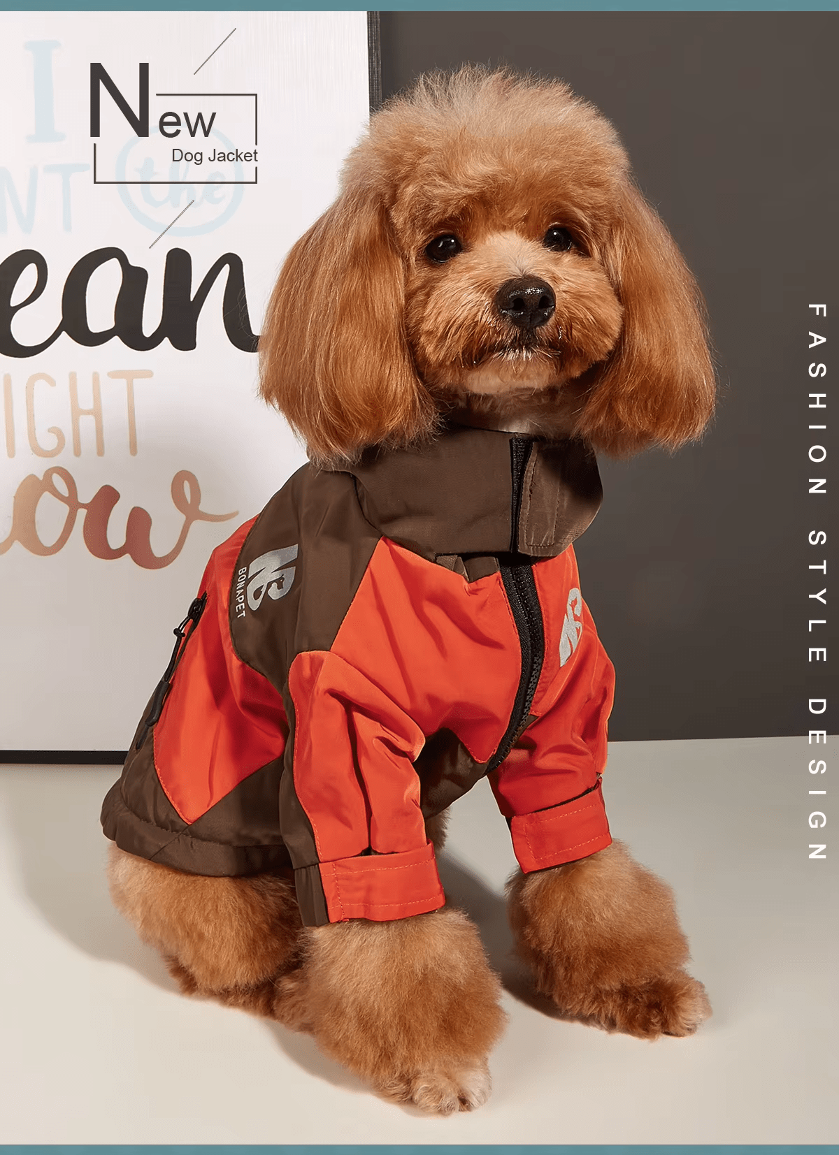 Bonapet Waterproof Dog Jacket - PetLiveliest - PetLiveliest