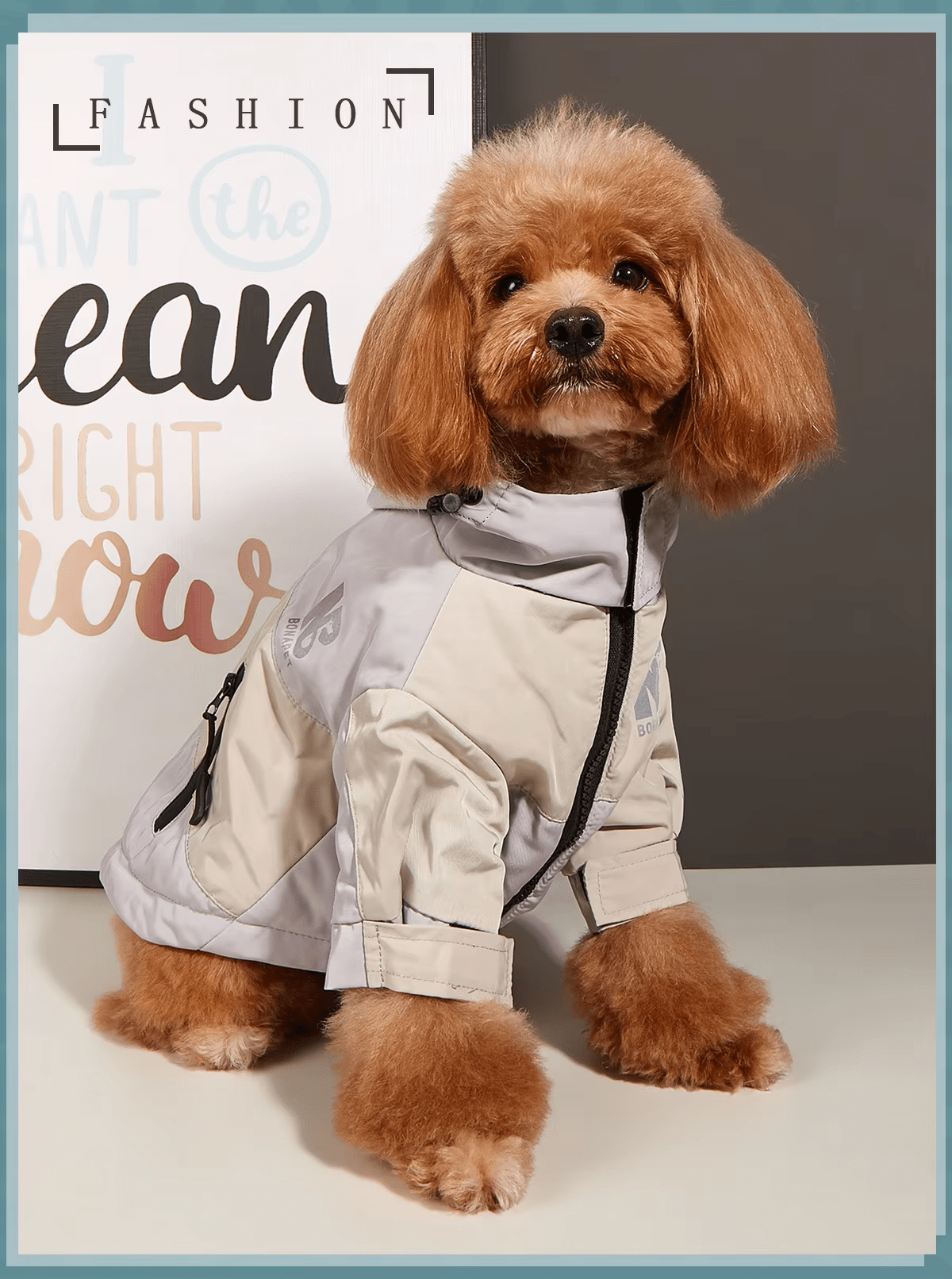 Bonapet Waterproof Dog Jacket - PetLiveliest - PetLiveliest