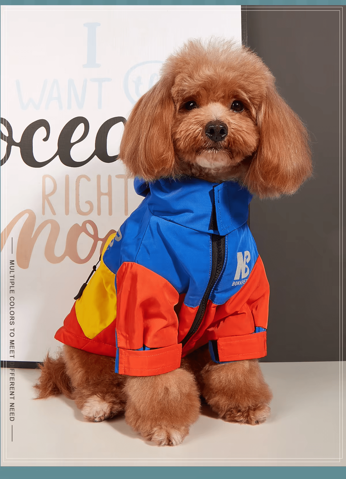 Bonapet Waterproof Dog Jacket - PetLiveliest - PetLiveliest