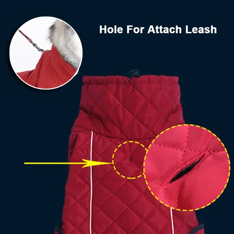 Winter Down Waterproof Dog Coat - PetLiveliest - PetLiveliest