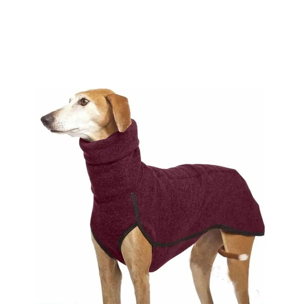 Winter High Collar Jumper Sweater - PetLiveliest - PetLiveliest