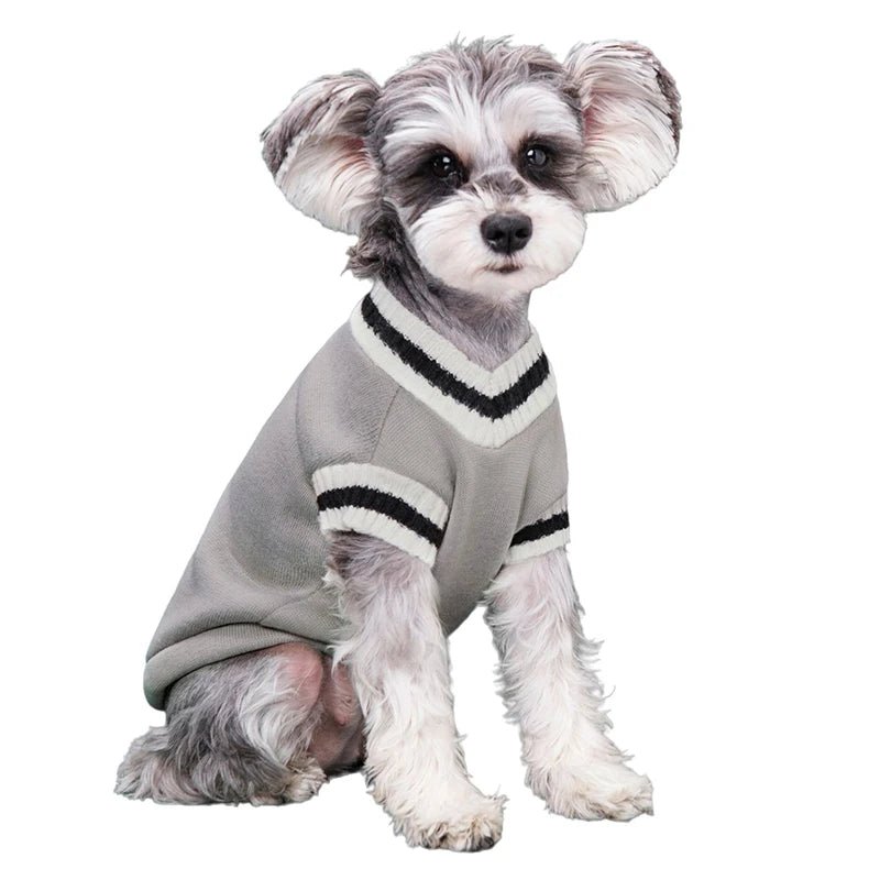 College Style V - Neck Sweater - PetLiveliest - PetLiveliest