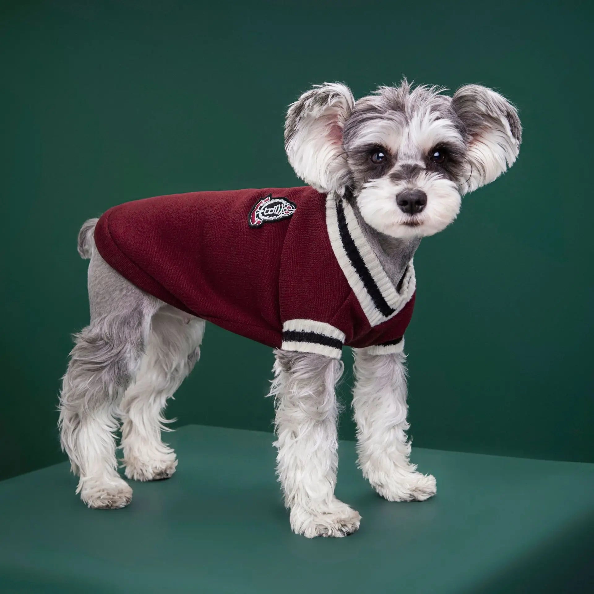 College Style V - Neck Sweater - PetLiveliest - PetLiveliest